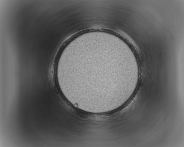 X0000102290831200808221355