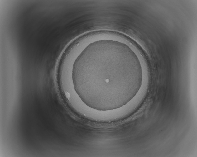 X0000102290832200808221355