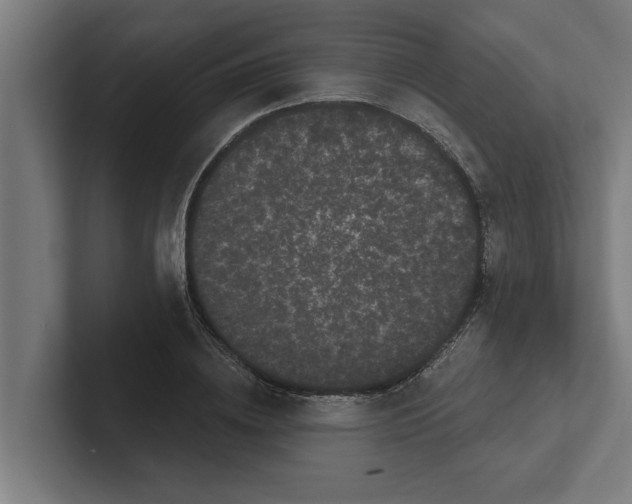 X0000102290836200808221355