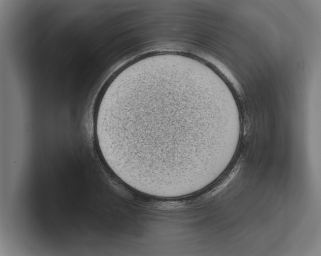 X0000102290837200808221355