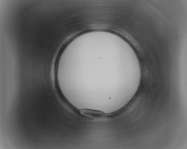 X0000102290840200808221355