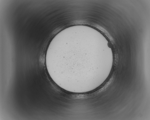 X0000102290841200808221355