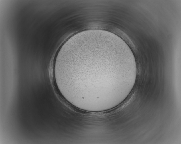 X0000102290844200808221355