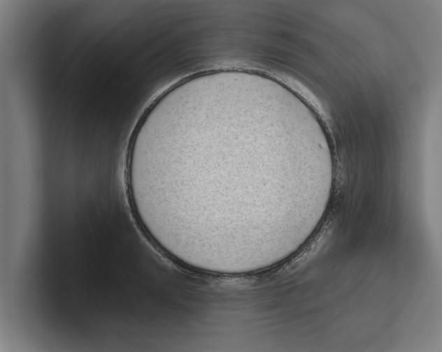 X0000102290847200808221355