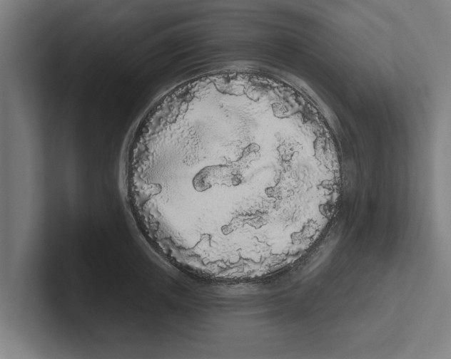 X0000102290851200808221355