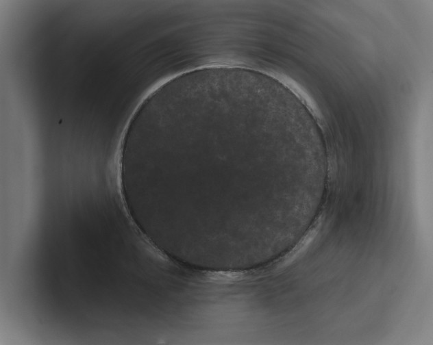 X0000102290854200808221355