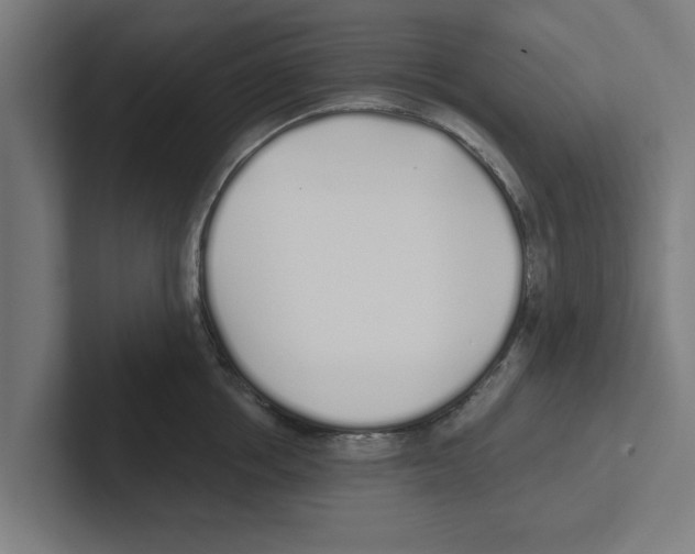 X0000102290858200808221355