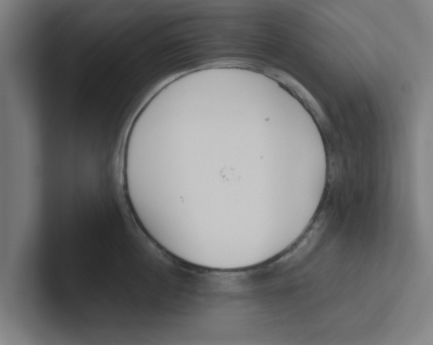 X0000102290860200808221355