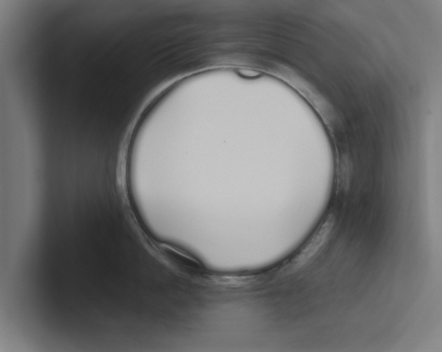 X0000102290862200808221356