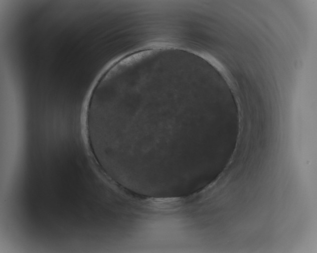 X0000102290864200808221356