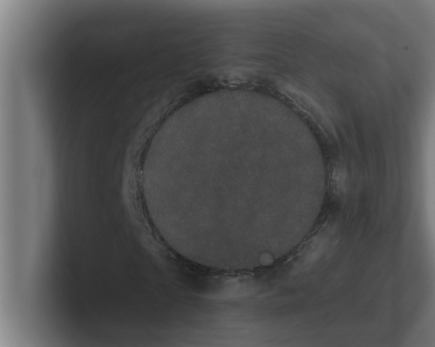 X0000102290865200808221355