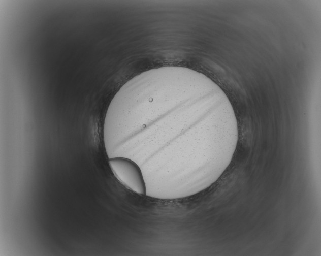 X0000102290866200808221355