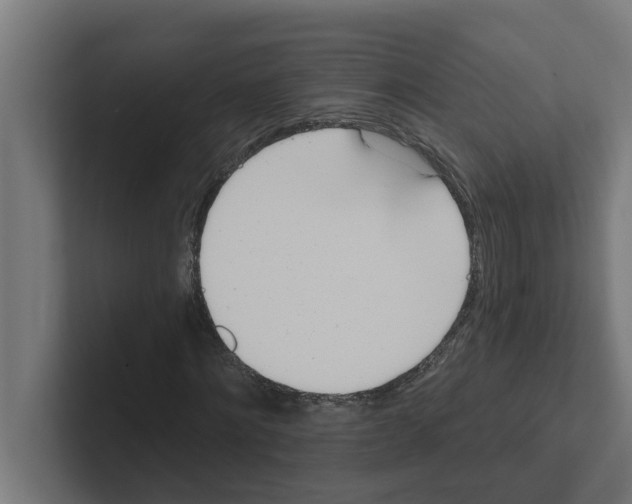 X0000102290868200808221355