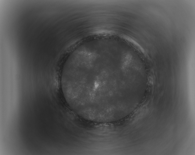 X0000102290869200808221355