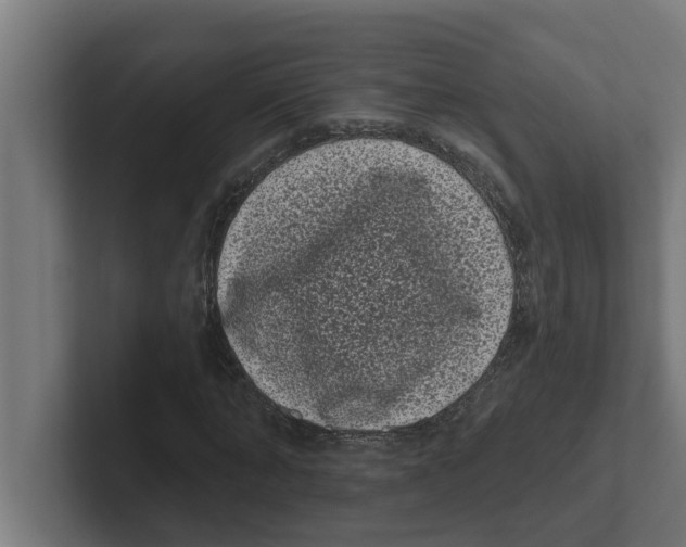 X0000102290870200808221355