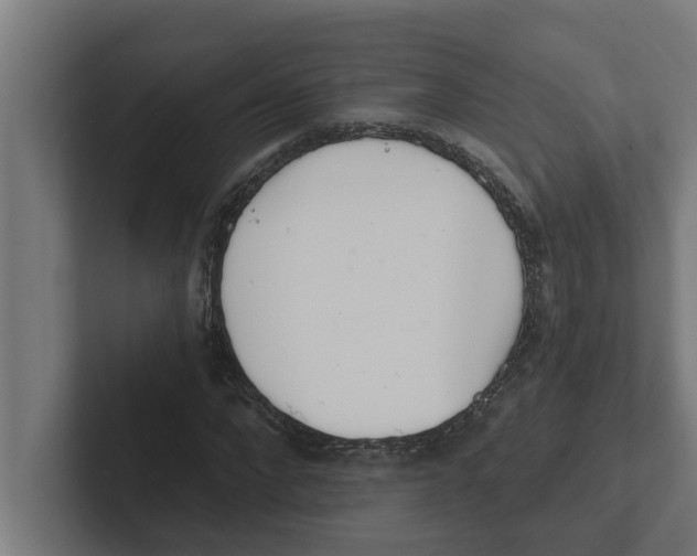 X0000102290872200808221355