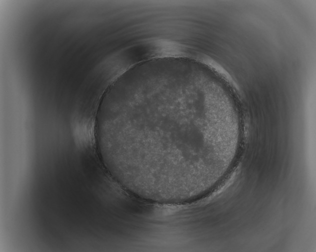 X0000102290873200808221355