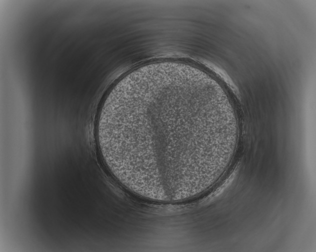 X0000102290881200808221355