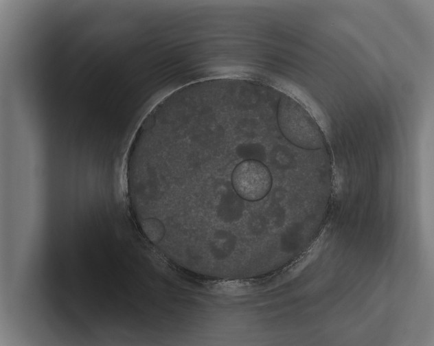 X0000102290883200808221355