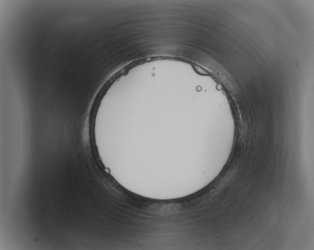 X0000102290884200808221355