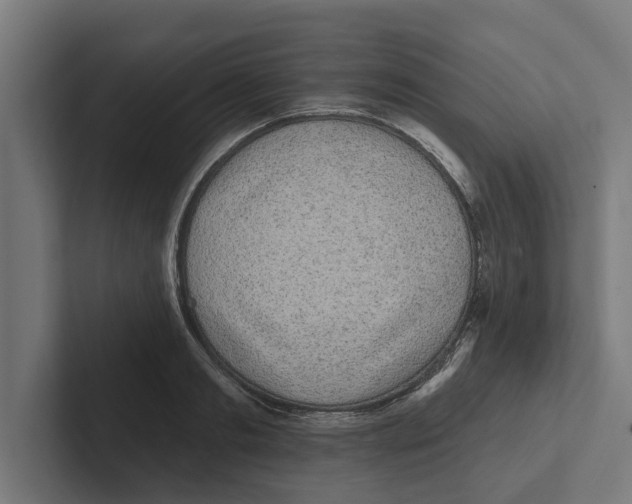 X0000102290893200808221355