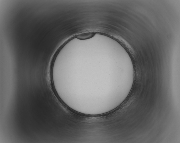 X0000102290894200808221355