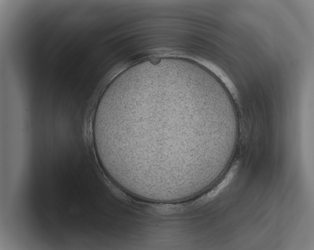 X0000102290897200808221355