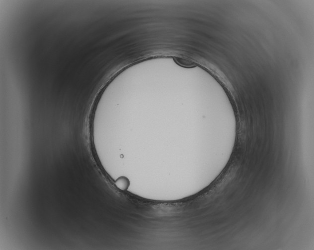 X0000102290898200808221354