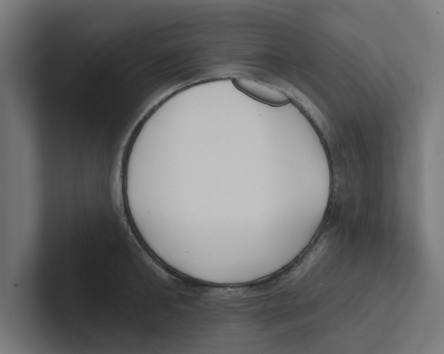 X0000102290902200808221354