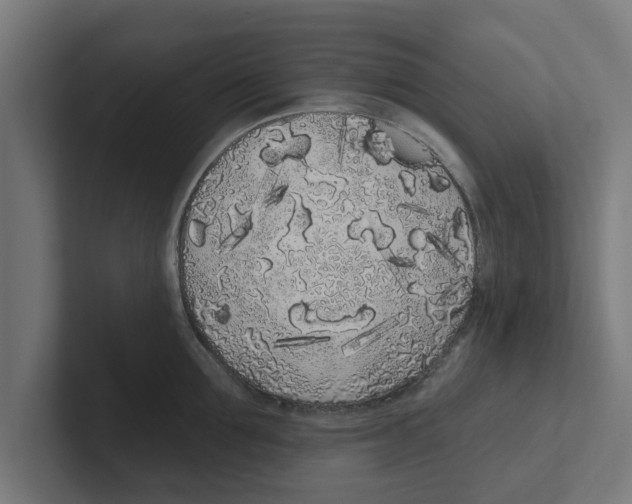 X0000102290907200808221354