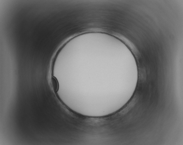 X0000102290910200808221354