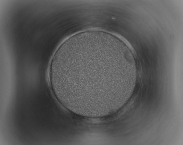 X0000102290911200808221354