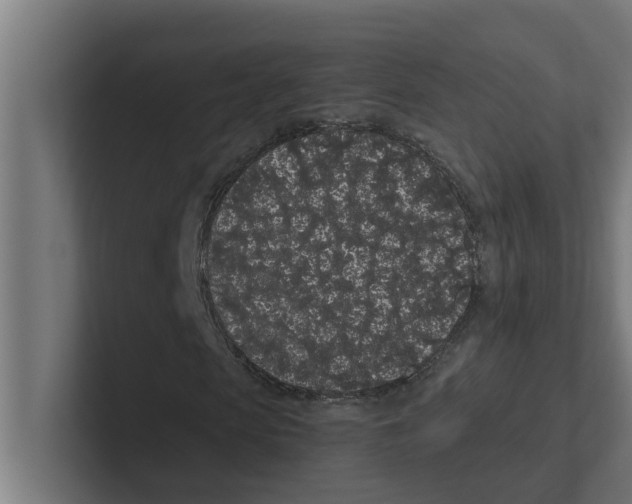 X0000102290913200808221354