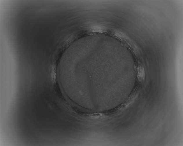 X0000102290916200808221354