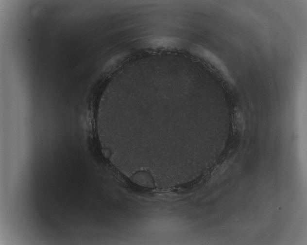 X0000102290918200808221354