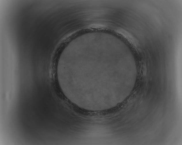 X0000102290920200808221354