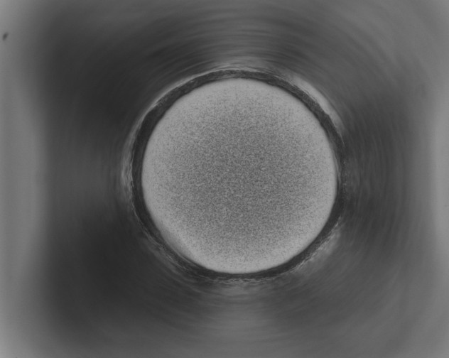 X0000102290923200808221354