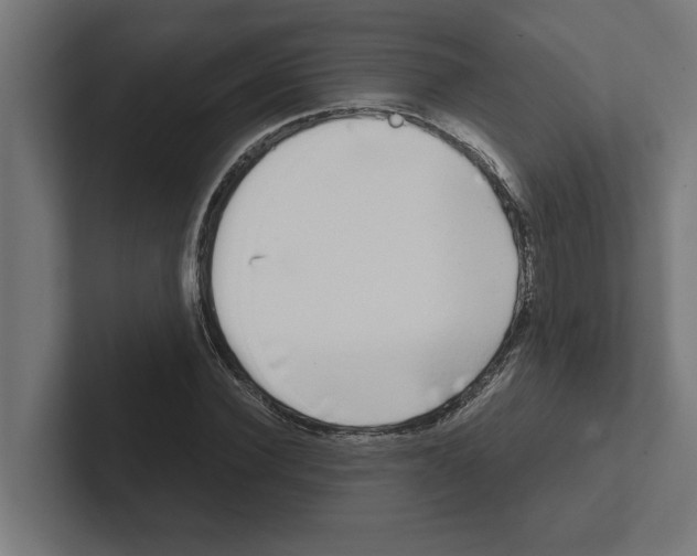 X0000102290924200808221354