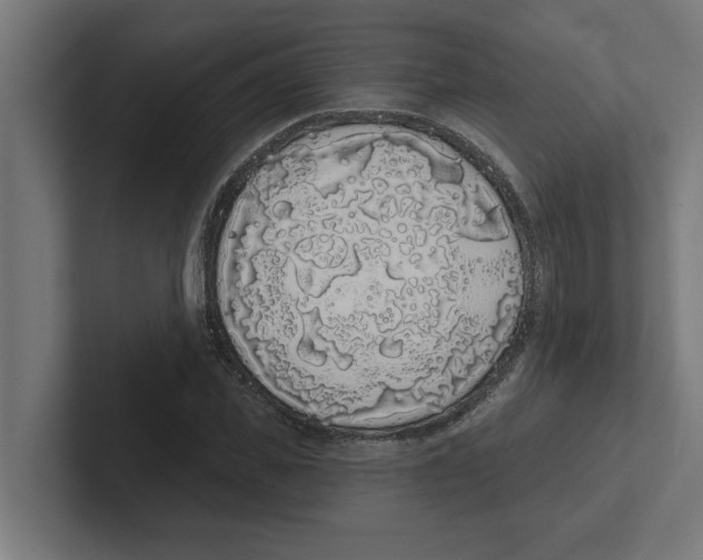 X0000102290925200808221354