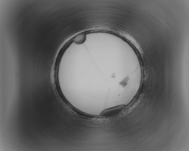 X0000102290928200808221354