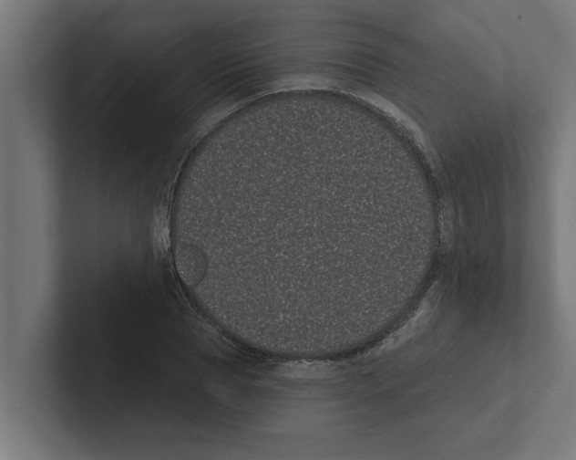 X0000102290929200808221354