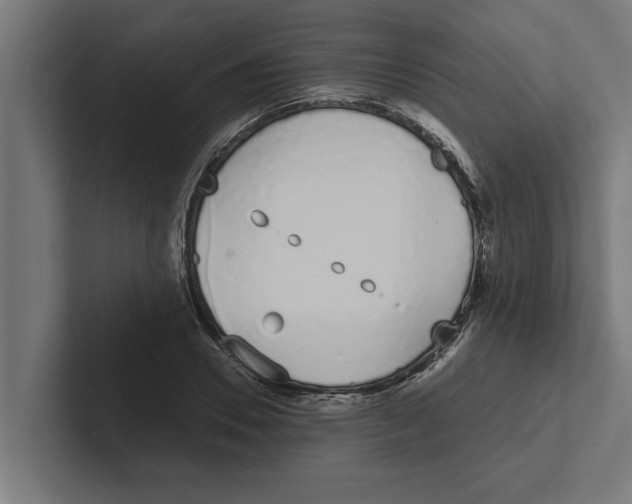 X0000102290930200808221354