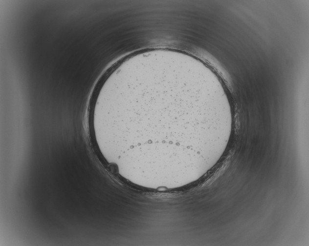 X0000102290932200808221354