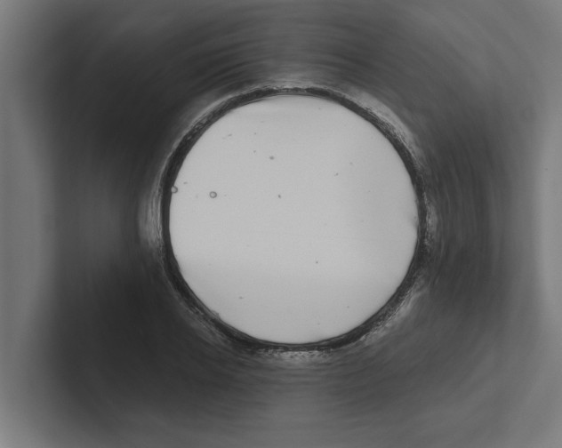 X0000102290934200808221354