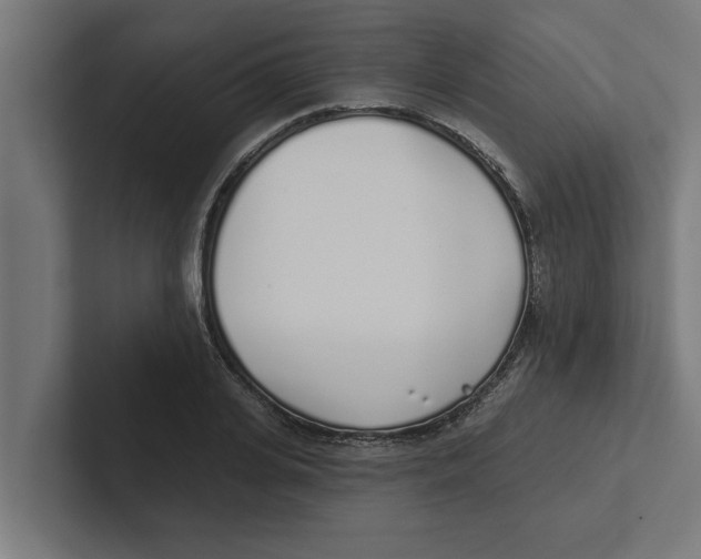 X0000102290935200808221354