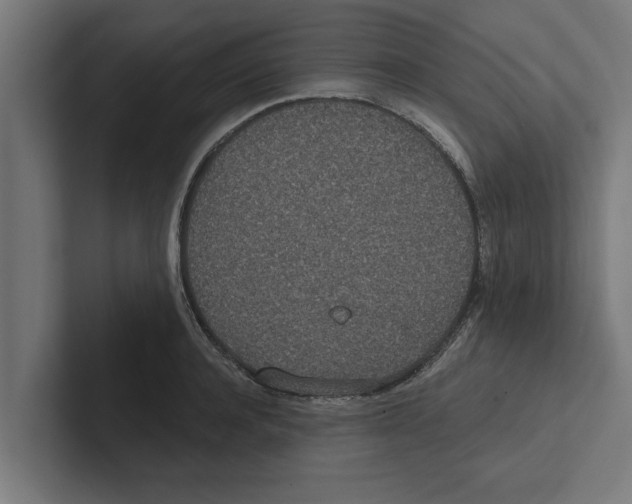 X0000102290944200808221354