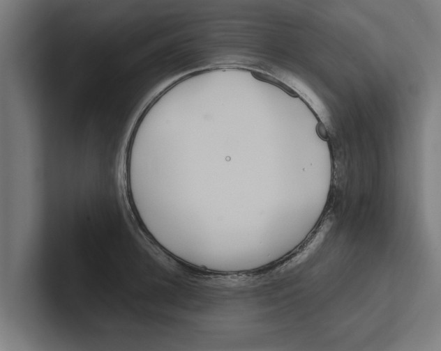 X0000102290948200808221354