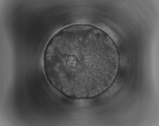 X0000102290950200808221354