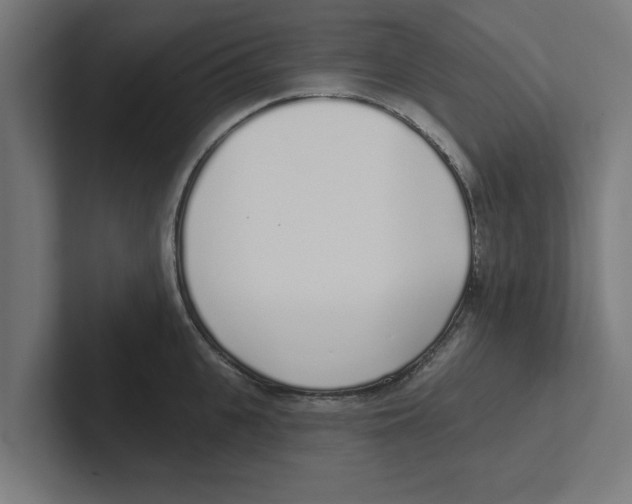 X0000102290951200808221354