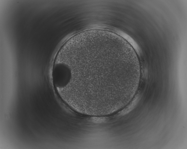 X0000102290954200808221354